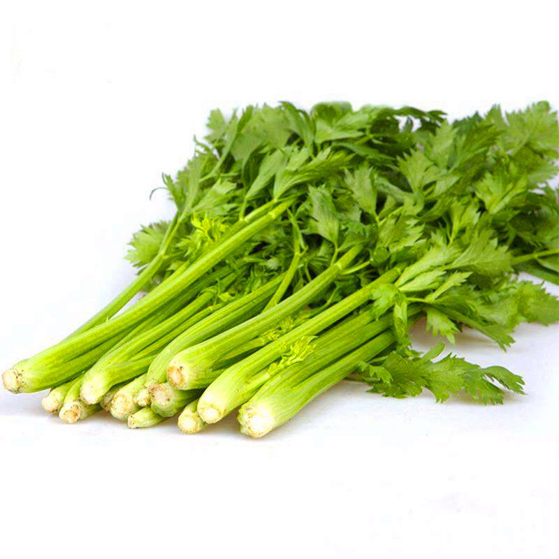 芹菜种子 法国进口皇后西芹种籽 蔬菜籽四季高产 抗病 口感好包邮
