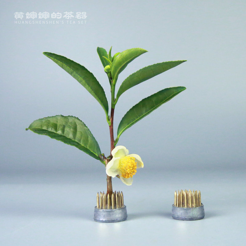 黄婶婶的茶园茶树枝杭州发货绿茶龙井茶叶茶席茶器茶具