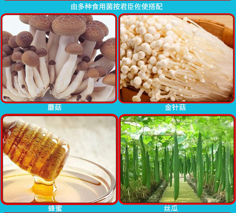 信邦邦迪福骱食用菌食用益生真菌多糖保健品儿童其他药食同源食品