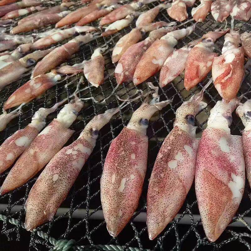 鱿鱼包邮台山特产筒干仔吹筒仔吊鱿筒渔家家生鱼干