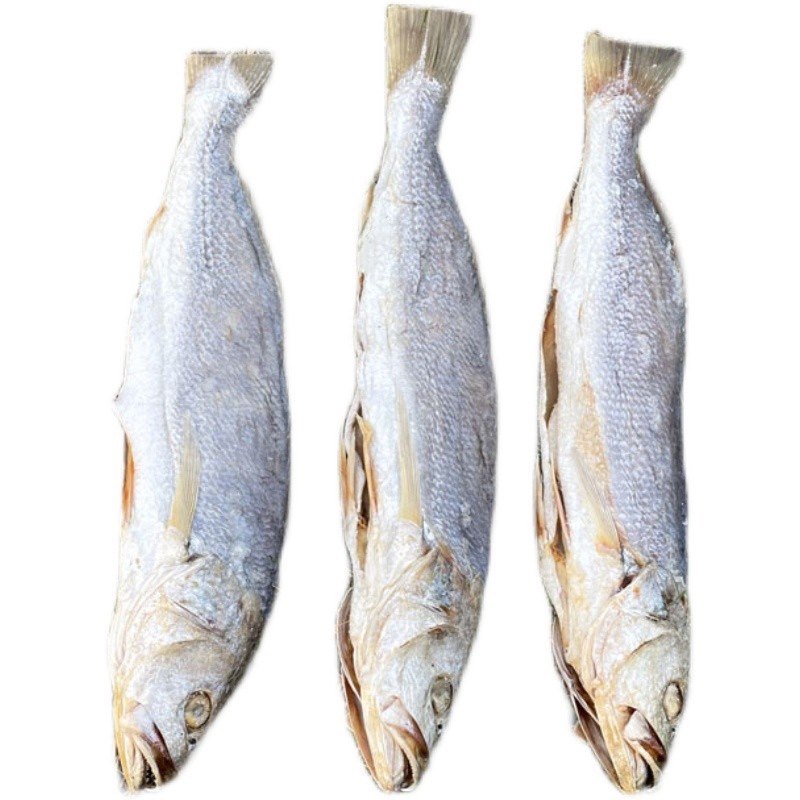 大澳梅香三牙划包或黄花或白花鱼干台山白花淡口咸鱼广海特产包邮