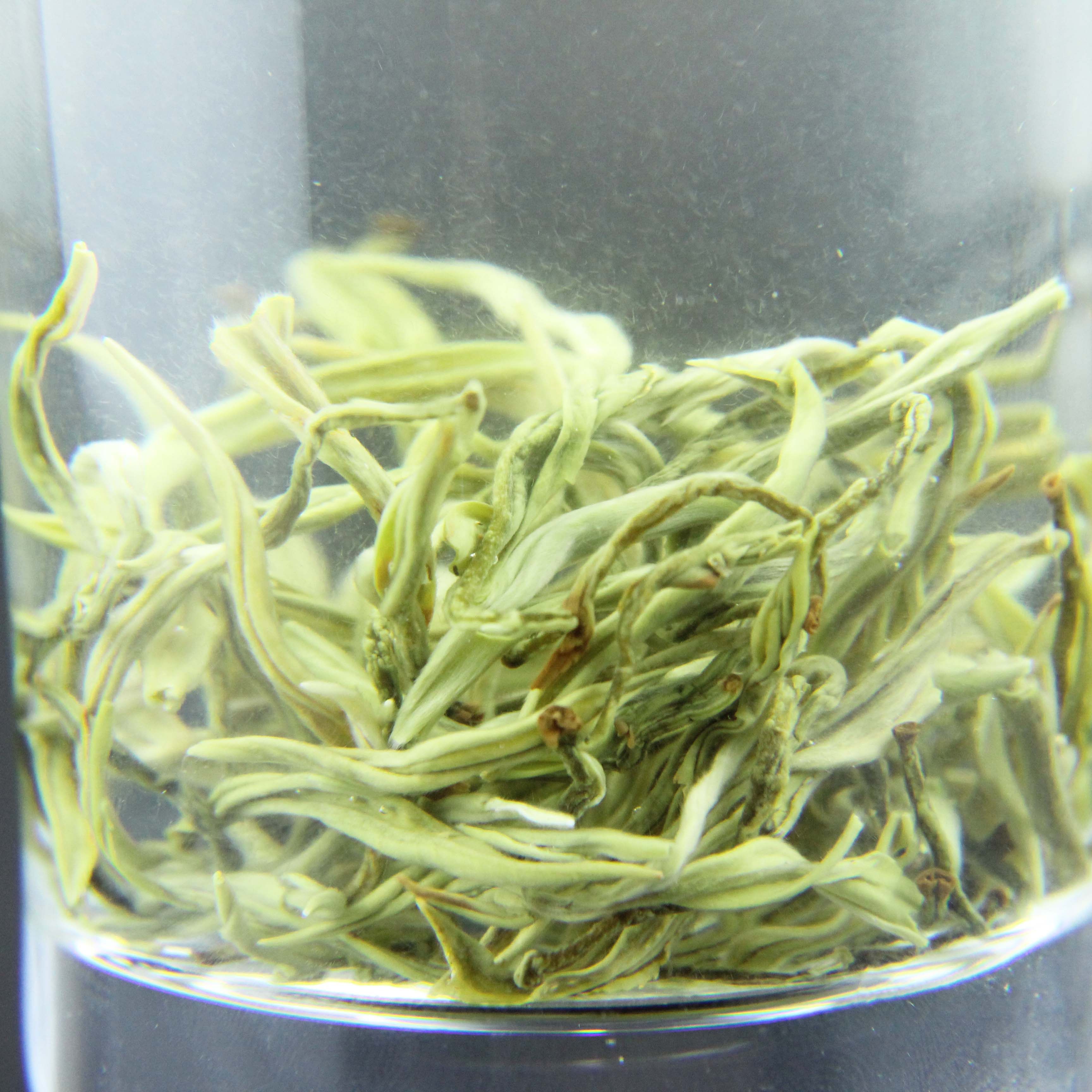 绿茶云南高山大叶毛尖2021年新茶普洱250g浓香其它绿茶