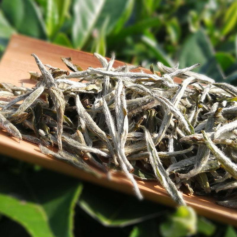 银针茶叶2019年福鼎白茶白高山太姥白豪150克春季白毫银针