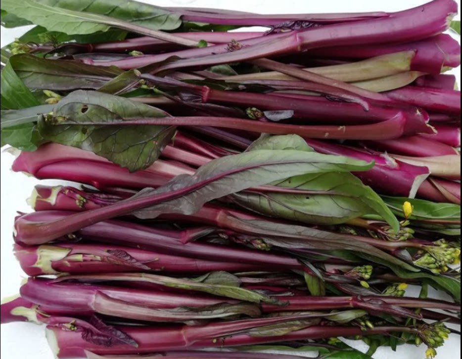 洪山现摘5斤装红菜苔新鲜现发湖北特产武汉叶菜类