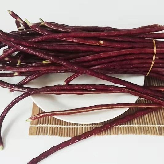 高产耐热耐寒春秋红长豇豆种子十月红豆角缸豆家庭园艺种子