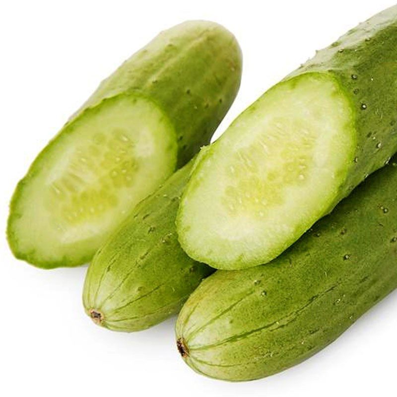 黄瓜春秋秋播种籽油亮型大胡胡瓜四季春季春夏多肉植物