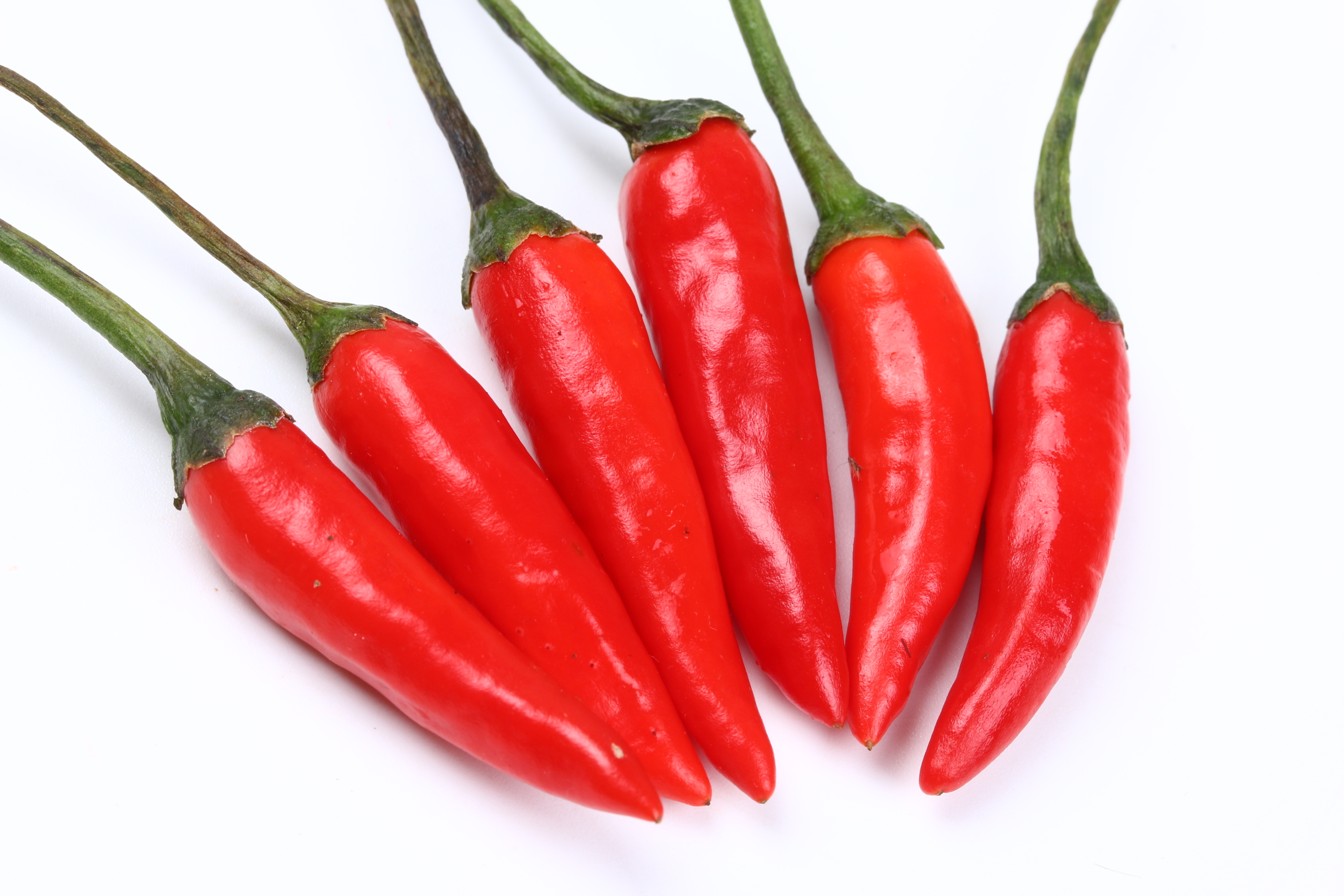 小米云南辣椒朝天德宏特产芒市新鲜米辣椒500克辣椒