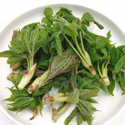 长白山野菜五加叶嫩芽东北坎拐棒子老虎潦山500g2其它