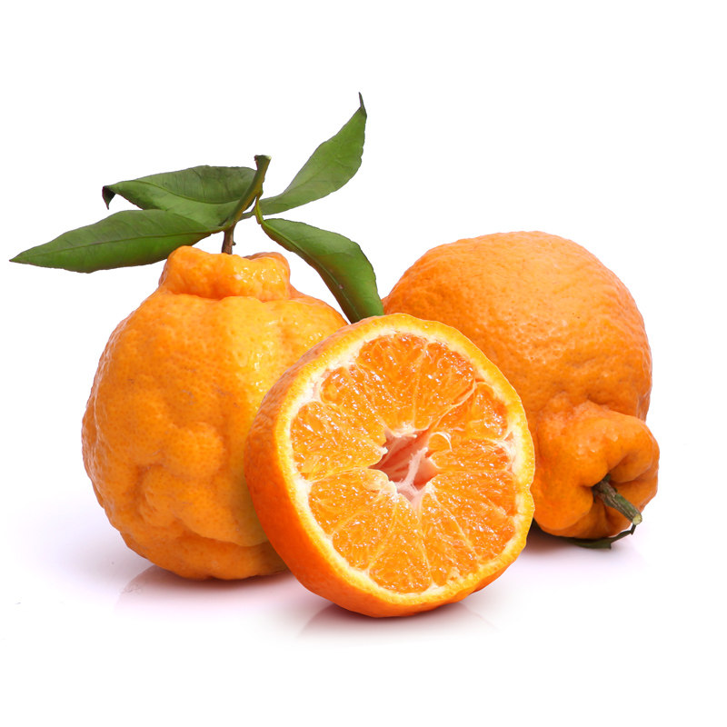 四川特产不知火丑八怪丑柑丑桔丑橘中果新鲜采摘水果橘子桔子5斤