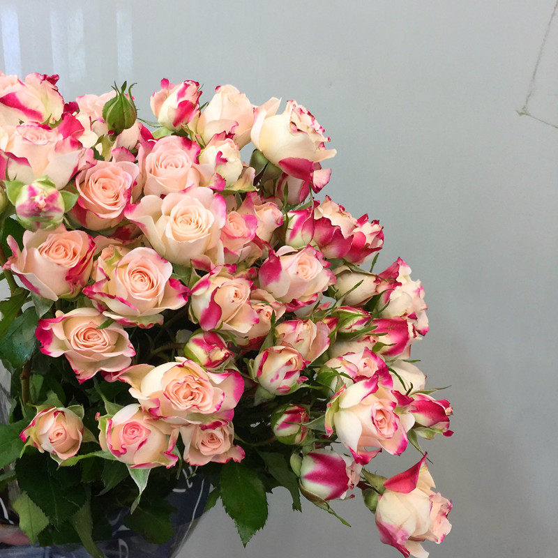 折射多头头小玫瑰鲜切花上上海同城速递家用鲜花速递同城