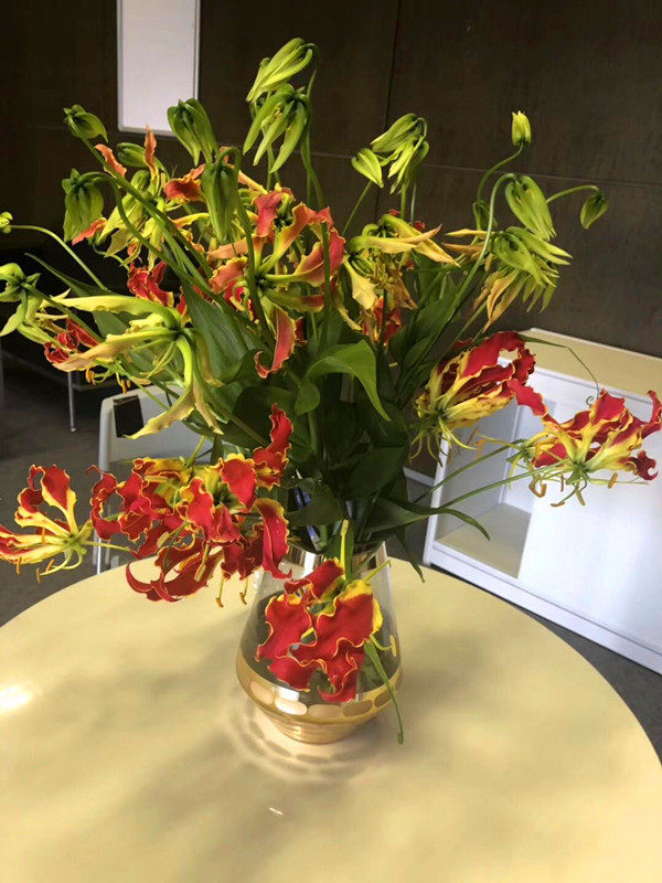 嘉兰火焰百合鲜切高端花材鲜花速递家用大堂花艺鲜花速递同城