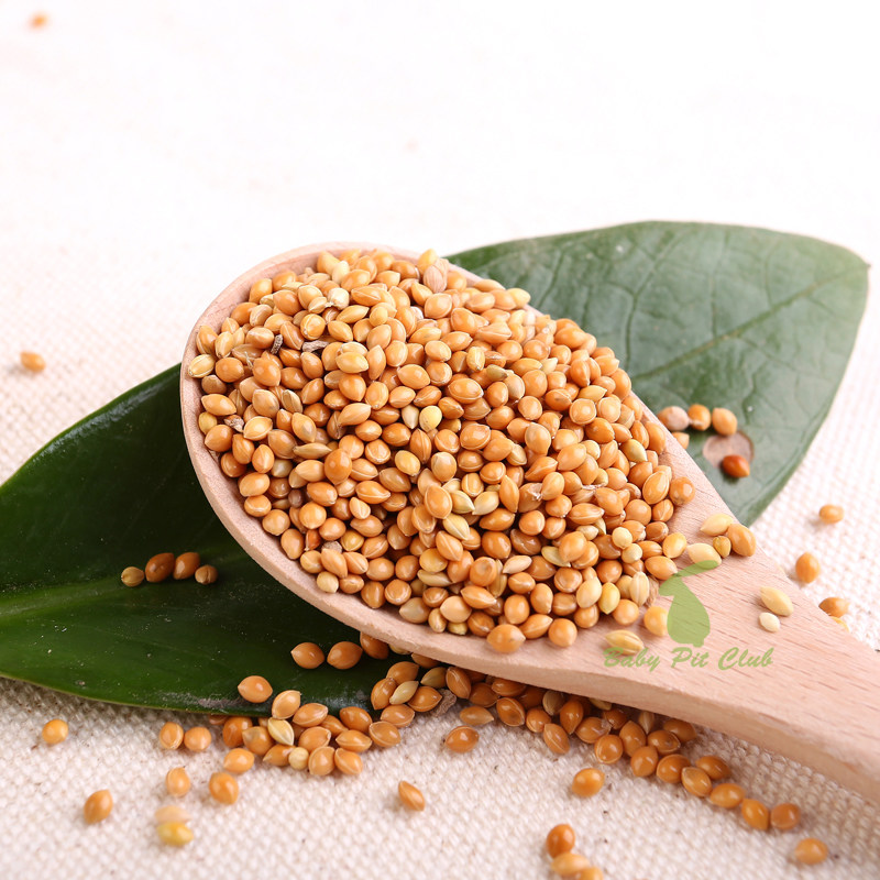 黄黍枕芯枕头饲料鸟粮鸟食零食仓鼠鸽子小米鸟食