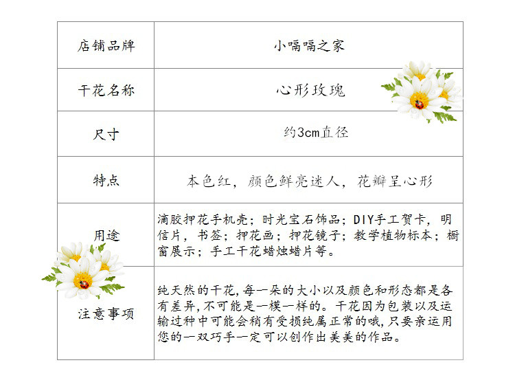 植物记录卡玫瑰花图片