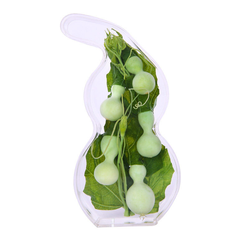 水葫芦植物瓶子水生保鲜四季水养摆件客厅办公室葫芦