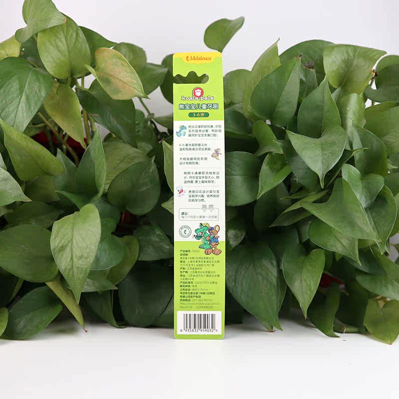 儿童koalapals美乐家熊宝宝宝宝牙刷刷头保护牙刷