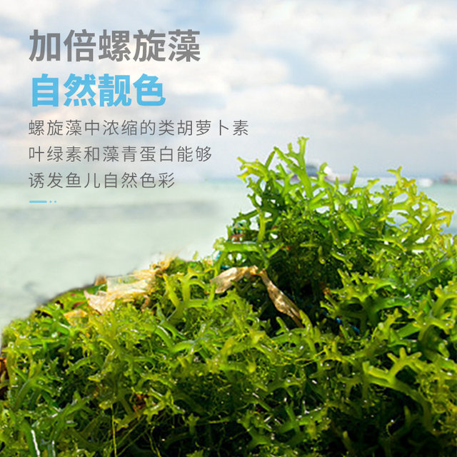 Goldfish feed small goldfish special fish food small fish household small particles fish Lanhou koi universal floating Goldfish feed small goldfish special fish food small fish household small particles fish Lanhou koi universal floating