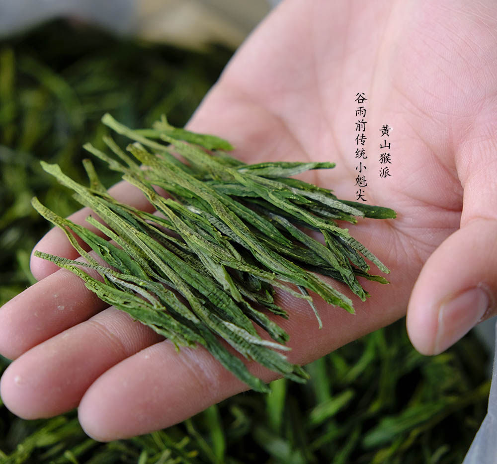 黄山魁尖猴派雨前2022新茶太平猴魁新明茶农太平猴魁