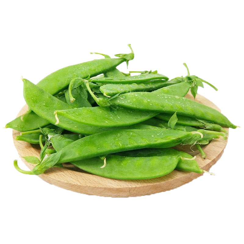 大荚荷兰豆种籽菜豌豆种早熟高产软荚甜脆豌豆家庭园艺种子