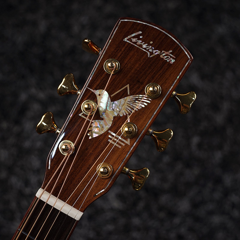 livingston利威斯顿蜂鸟aj-260西提卡云杉单板经济型全单入门吉他