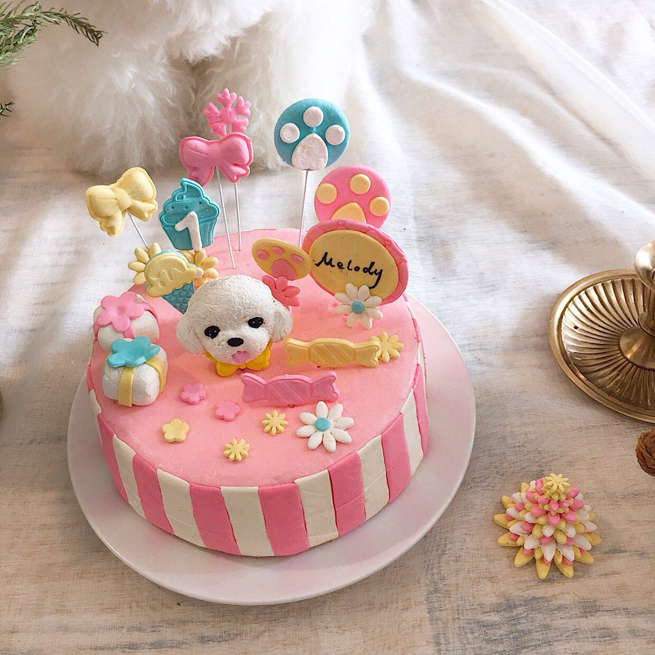 乖豆家 少女 重庆宠物生日蛋糕 狗狗蛋糕猫蛋糕 含头像 法斗泰迪