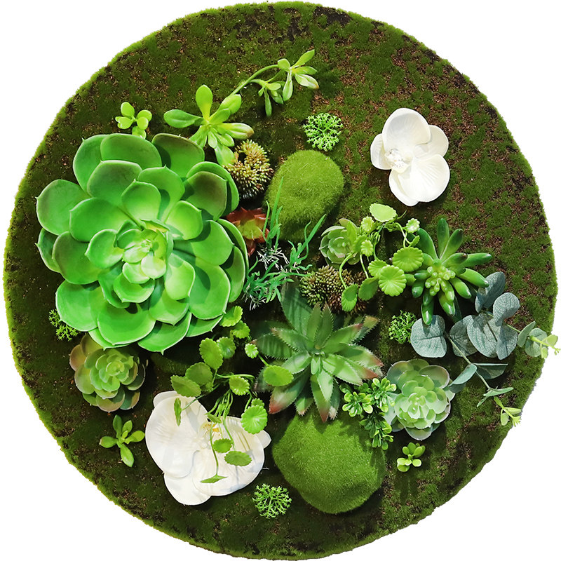 创意仿真植物墙面装饰家居绿植玄关墙壁圆形挂件幼儿园墙体壁挂