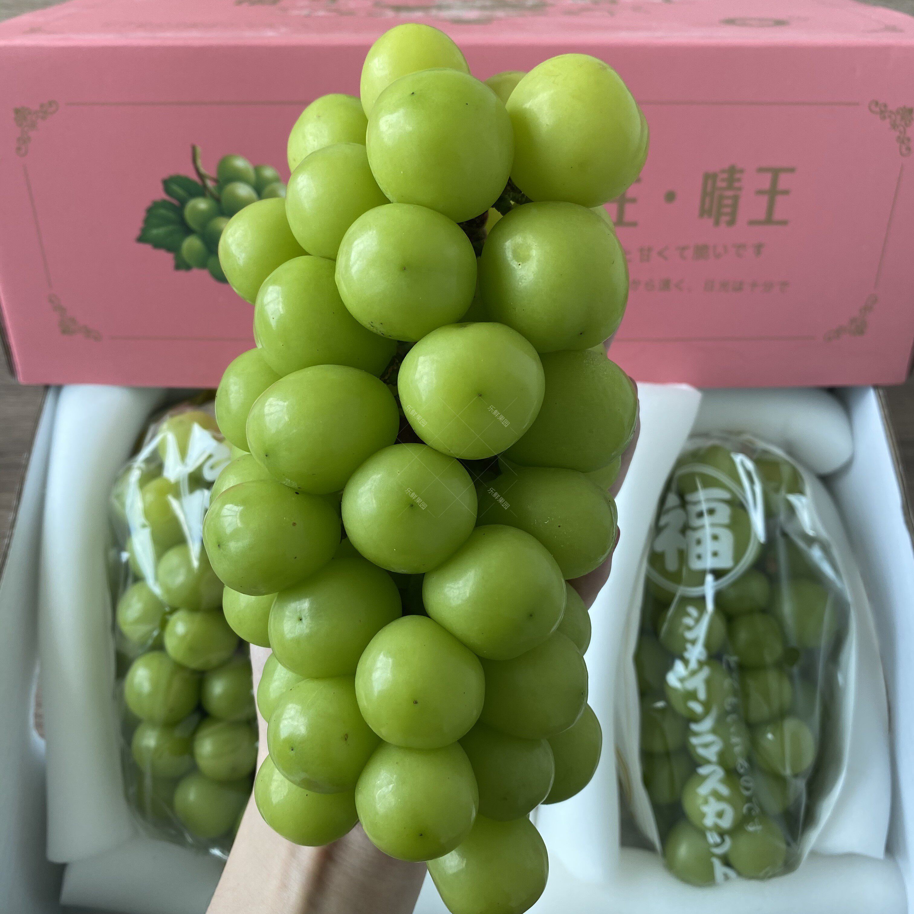 现货当季云南福生晴王香印3斤新鲜花香甜蜜葡萄