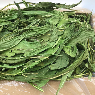 18年进口欧洲菊苣干草500g兔子草荷兰猪龙猫菊苣叶保健草调理肠胃