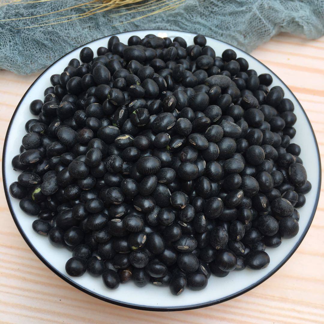农家自产芯心小黑豆500g一斤五谷杂粮黄豆豆浆仁生黑豆