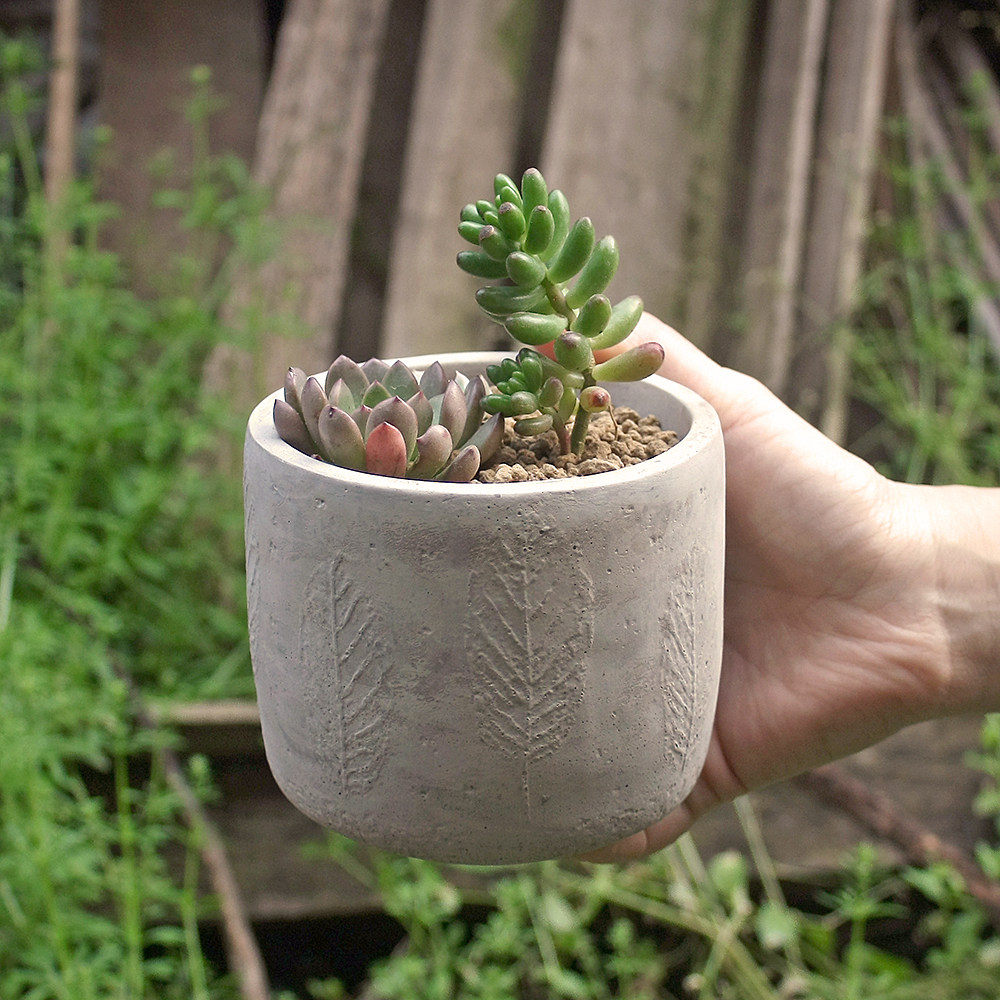 花盆特价保水透气北欧欧树简约水泥多肉小型花盆