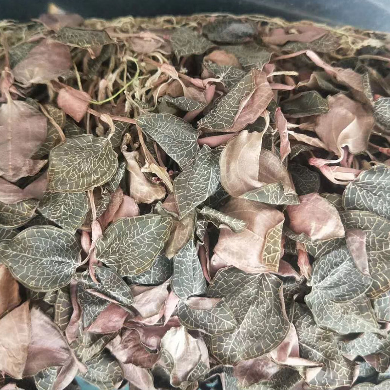 正宗福建南靖土楼养生林下野生金线莲整株50g传统滋补品其他