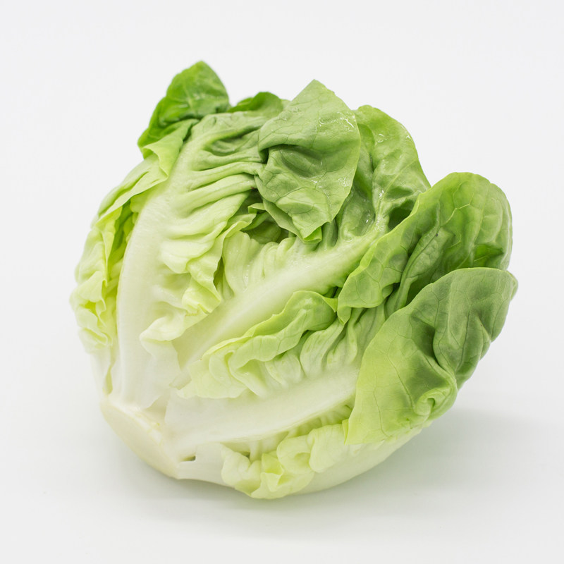 新鲜奶油生菜沙拉蔬菜口感细腻顺丰包邮butter叶菜类