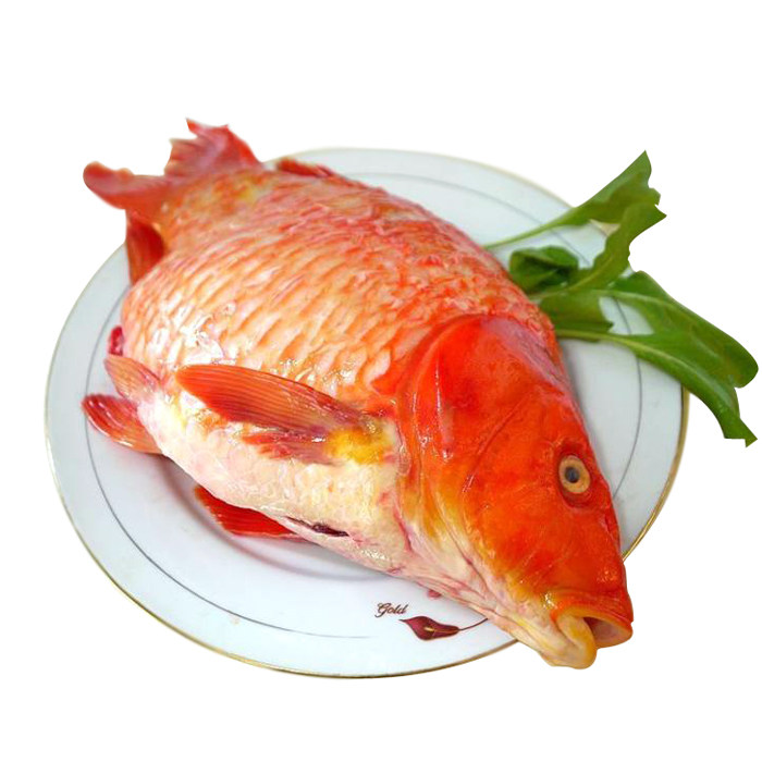 顺丰包邮 江西特产婺源荷包红鲤鱼农家冷水鱼塘现杀真空包装红鱼