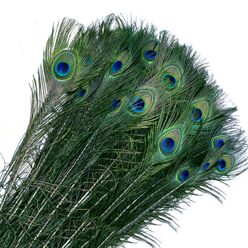 羽毛孔雀翎diy婚庆插花装饰摆件进口孔雀孔雀羽其他diy饰品配件