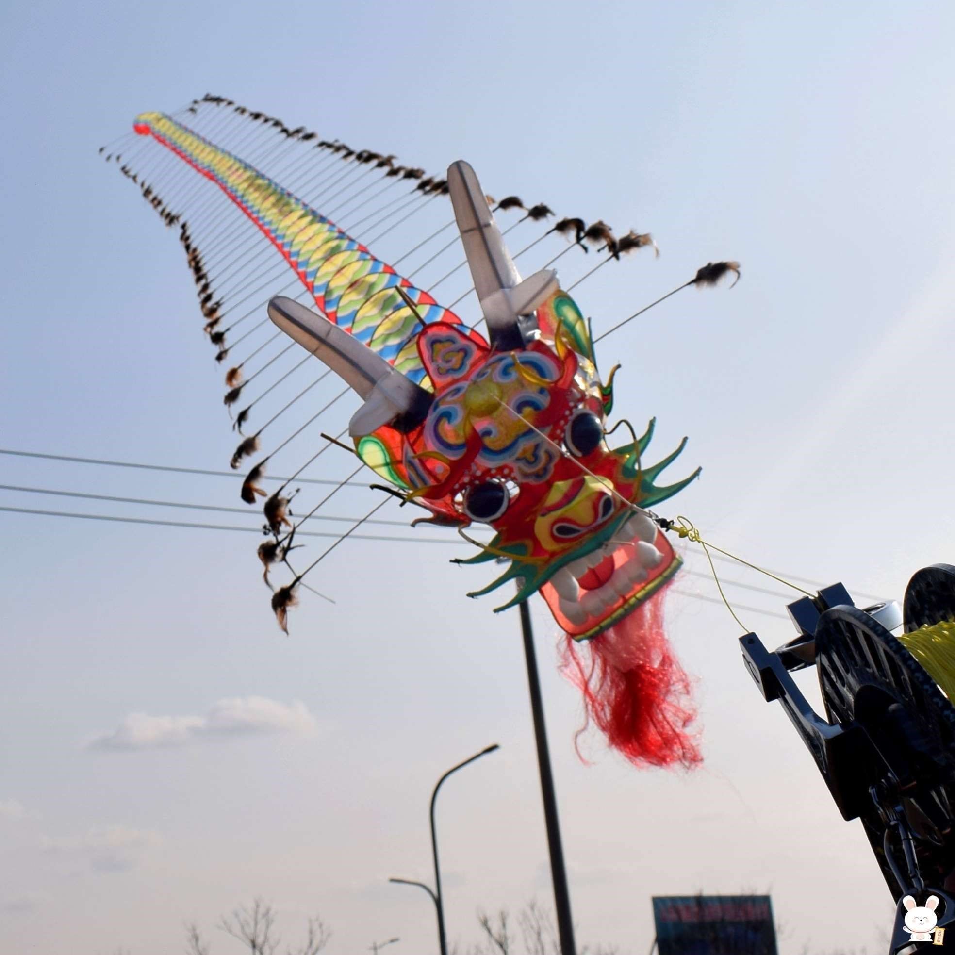 风筝网红新款热销大型立体搞笑创意龙抗大风风筝