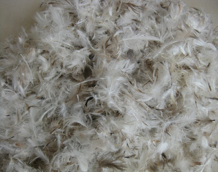 鸭绒散装水洗羽绒绒毛枕芯靠垫填充原料灰鸭枕头