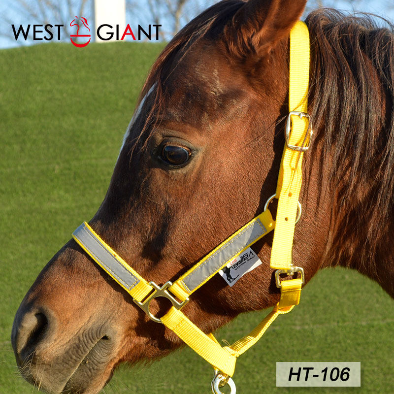 笼头高端尼龙荧光黄马套装马绳龙头调教西部牵马