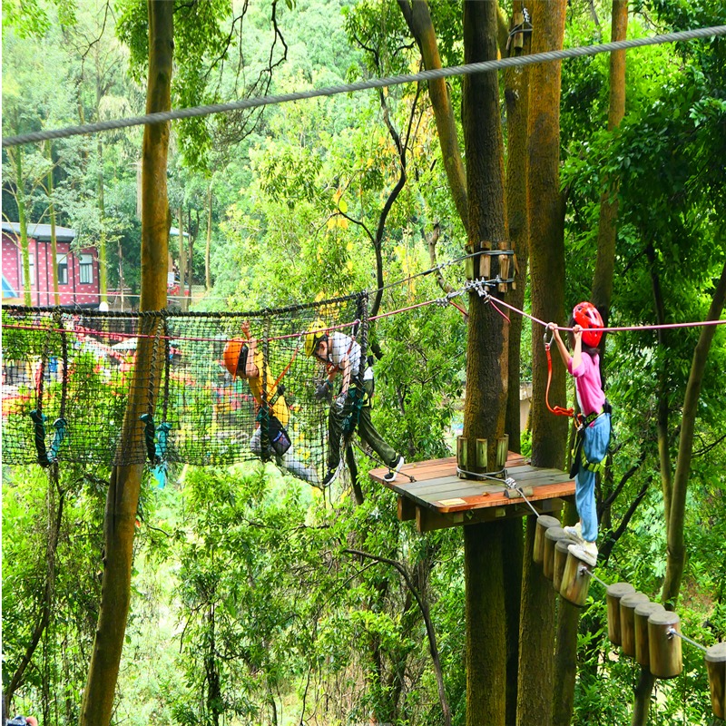 广州飞越丛林探险乐园绿蓝线票国内票务