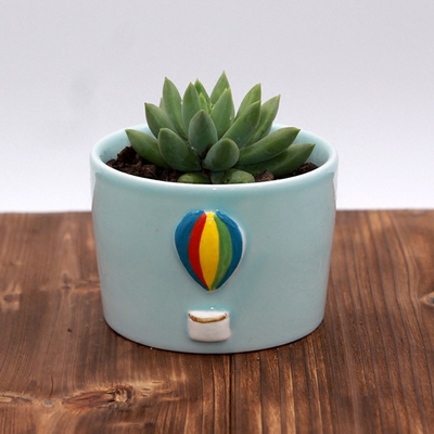 陶上云 多肉青瓷花盆绿植小花盆手绘创意陶瓷迷你盆栽卡通4个免邮