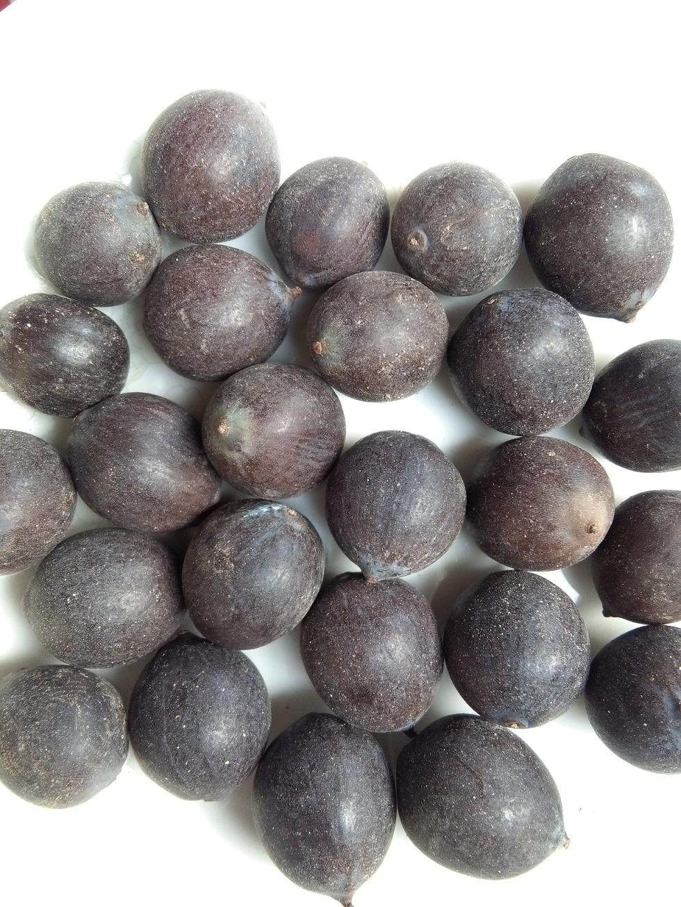 莲子洪湖新货佛珠干铁干货带壳碗种子特产500克莲子