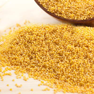 新货蔚县黄小米小米蔚州贡米500克杂粮熬粥4个小米