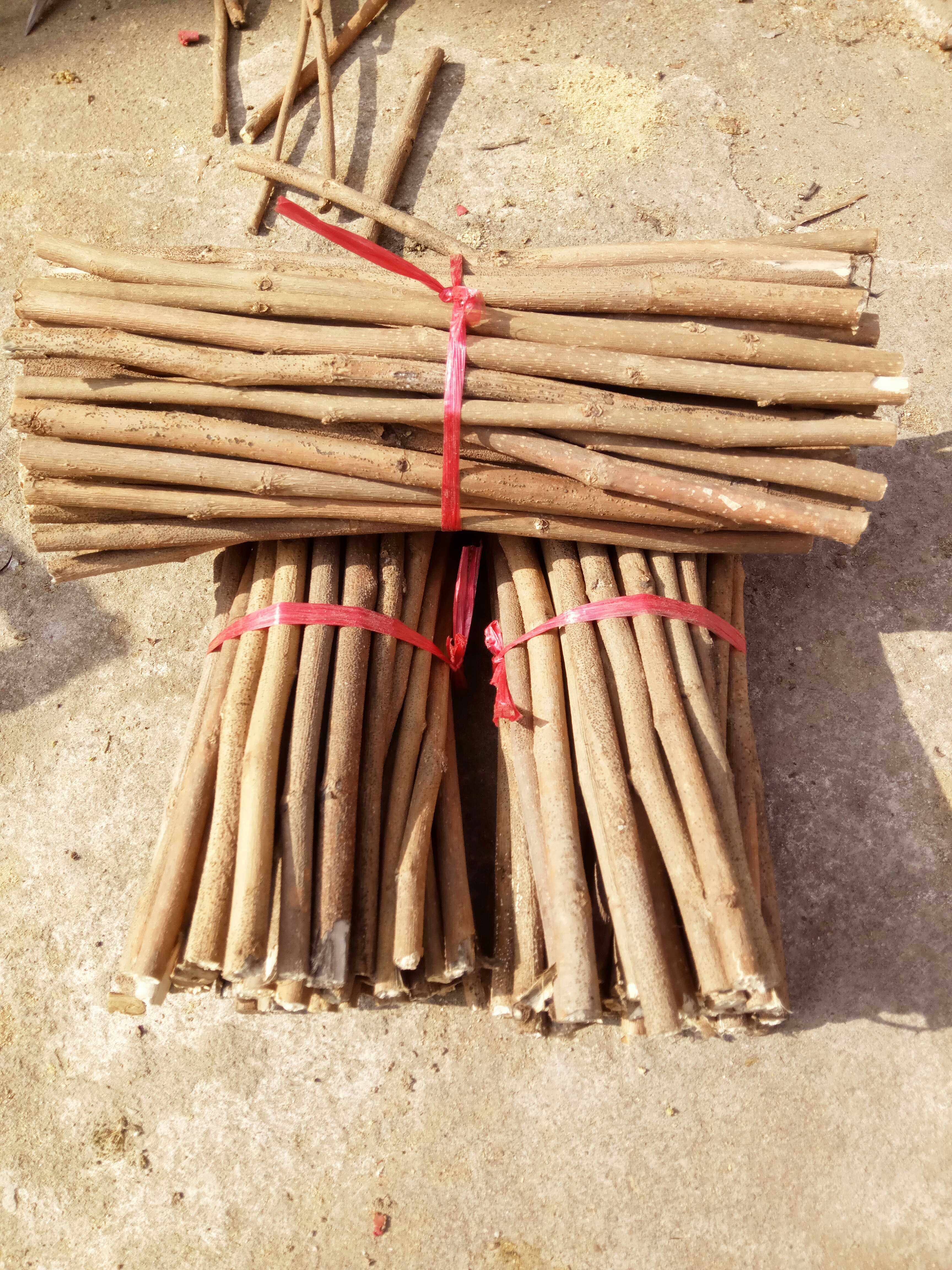 桑树枝条中药材野生桑枝桑柴木蚕枝干木棍一捆其他药食同源食品