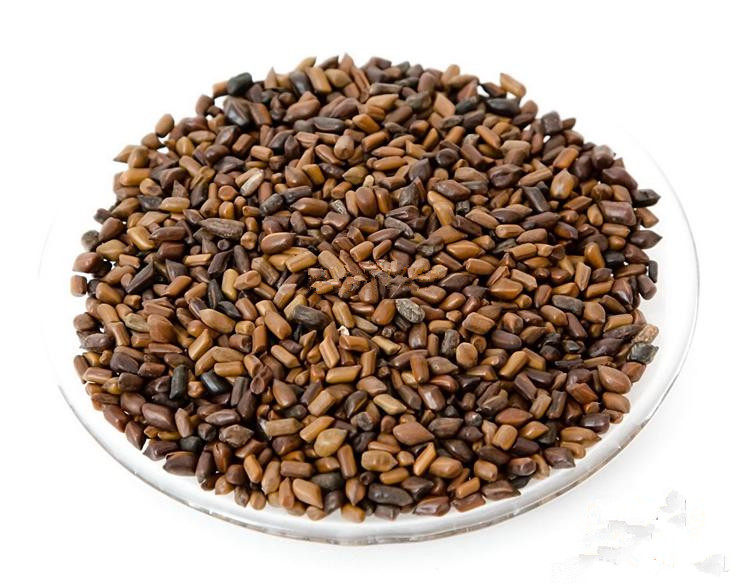 明子中药材天然草决狗屎绿豆其他药食同源食品