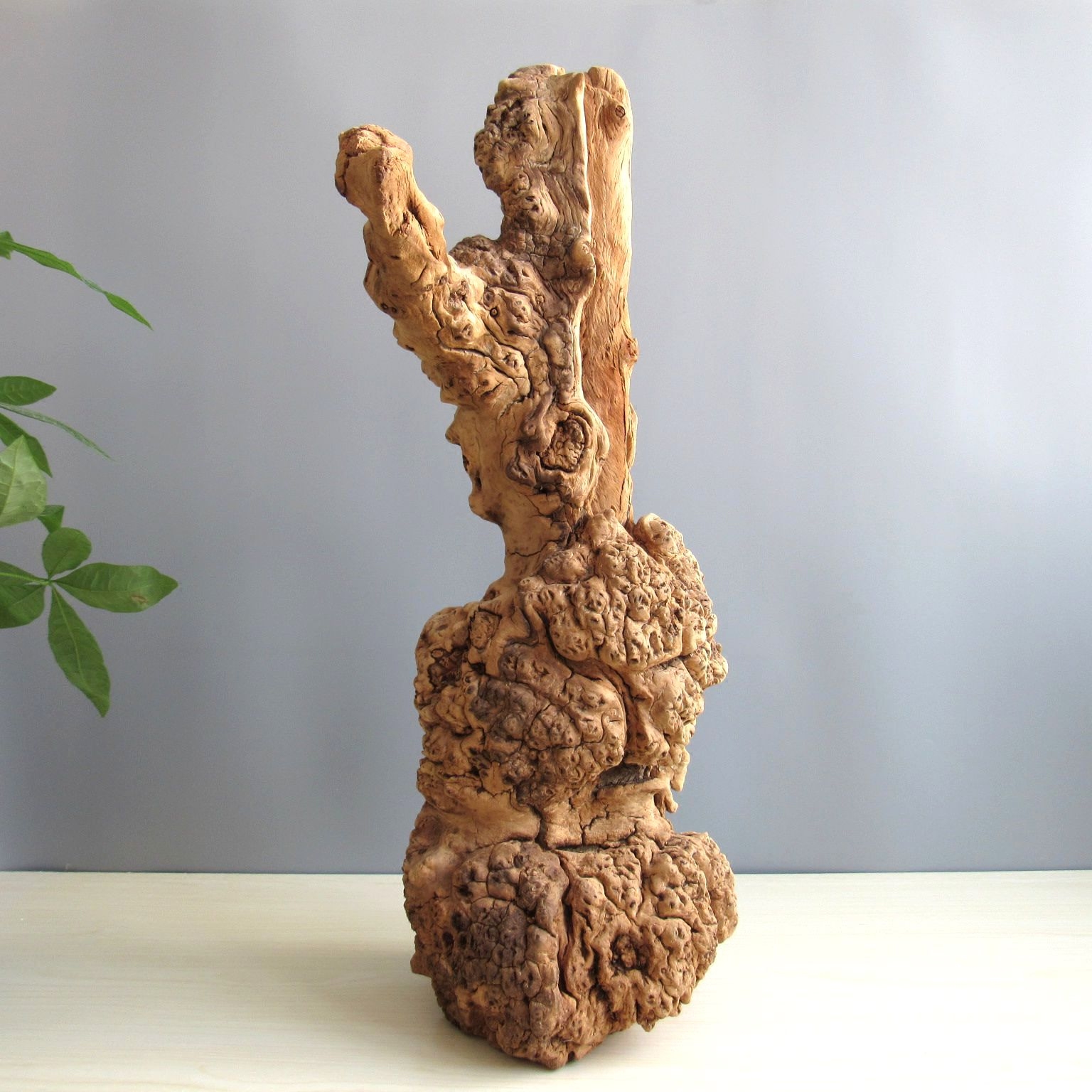 千年枯木禅意办公室家居木随风化古木胡杨木古树摆件