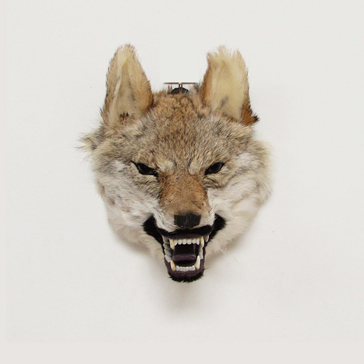 仿真动物真皮狼头头挂壁饰装饰品墙饰酒吧客厅壁饰