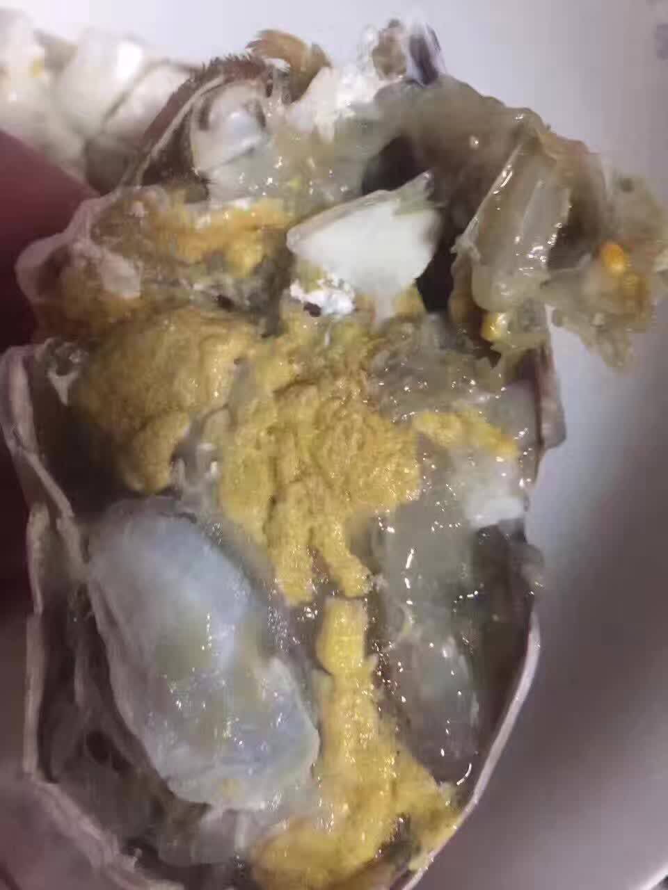 5-6两海蟹肉红肥满满黄肉母蟹蟹沙梭子进口生活青蟹