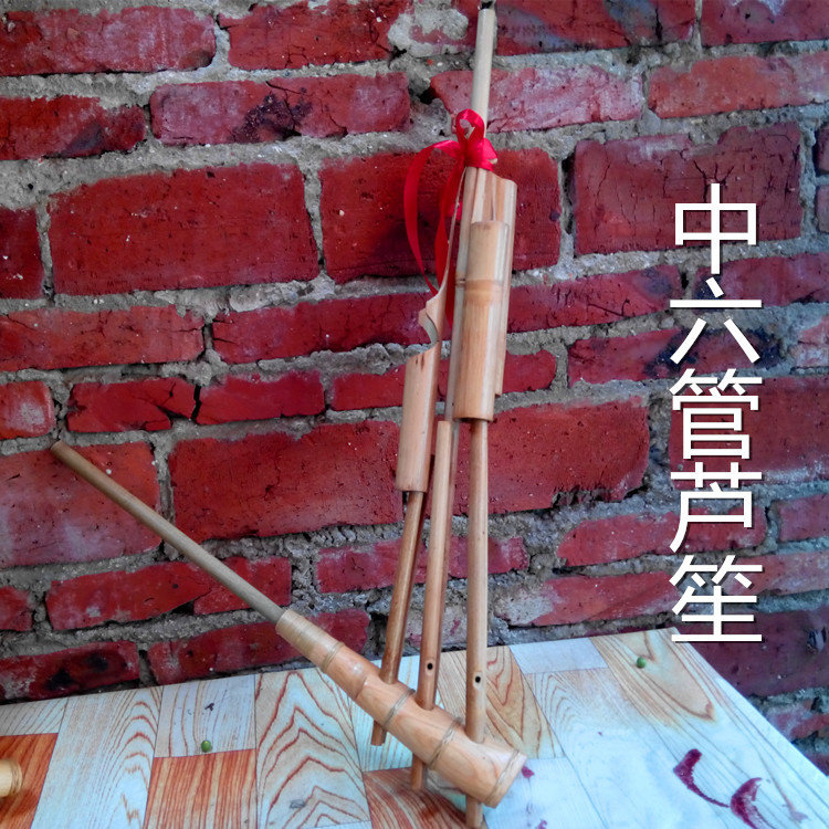 舞蹈演奏型芦笙紫竹苗族侗族新款乐器民族表演芦笙