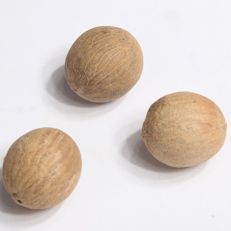 菩提白玉根原高密原果抛光成品散珠手手链果单颗佛珠