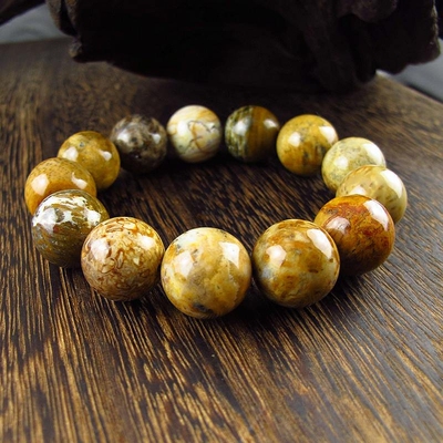 相石缘天然树化玉手链男多宝木化石手串男士佛珠单珠18mm珠子串珠