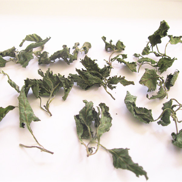 野生冬凌草茶茶茶神奇冰凌养生茶