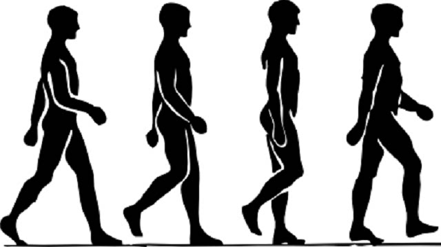 运动后左脚前掌疼 只要一走路就开始疼痛,常都不疼 我